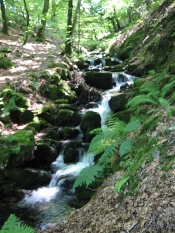 lynton waterfall